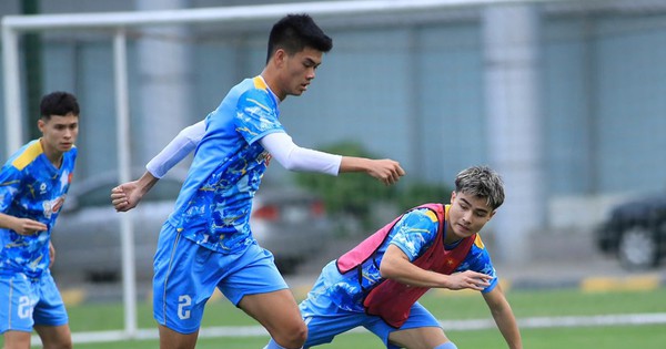 GO99 cược bóng đá