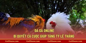 Đá Gà Online